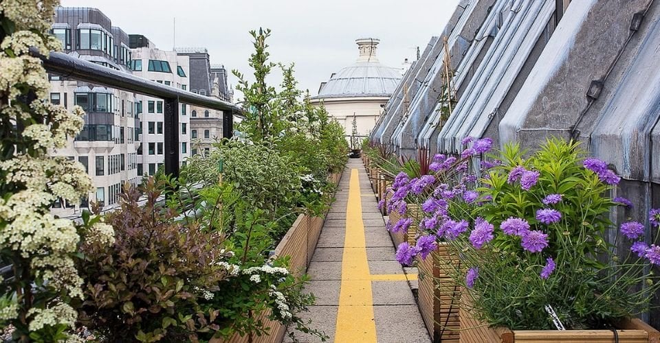The Hanging Gardens Of, Er, Barbican? 10 Of London's Best Rooftop