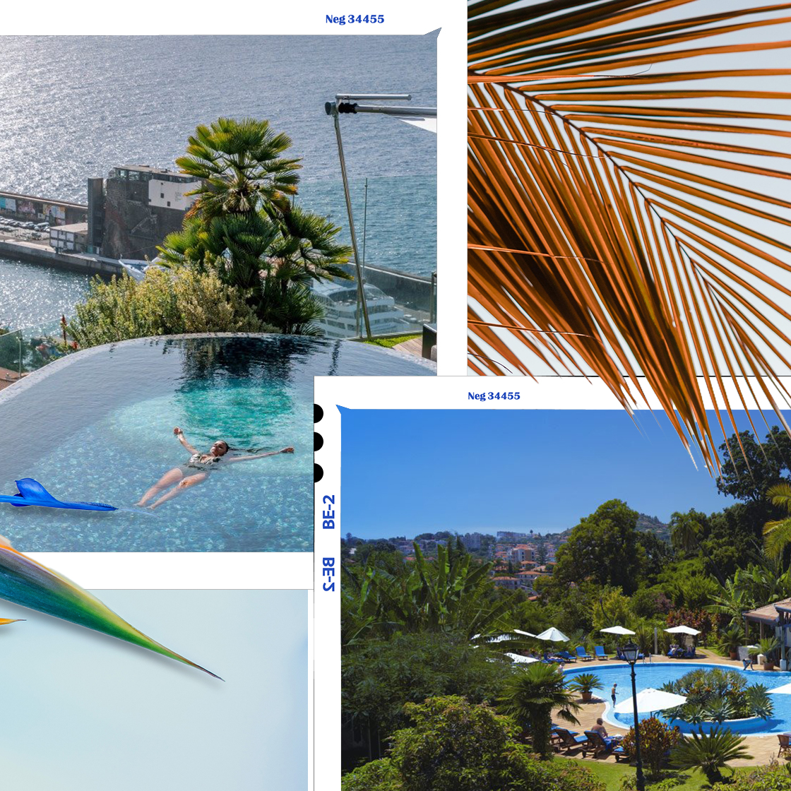 Madeira’s Green Again! We Reviewed The Coolest Places To Stay (And There’s No Quarantine)