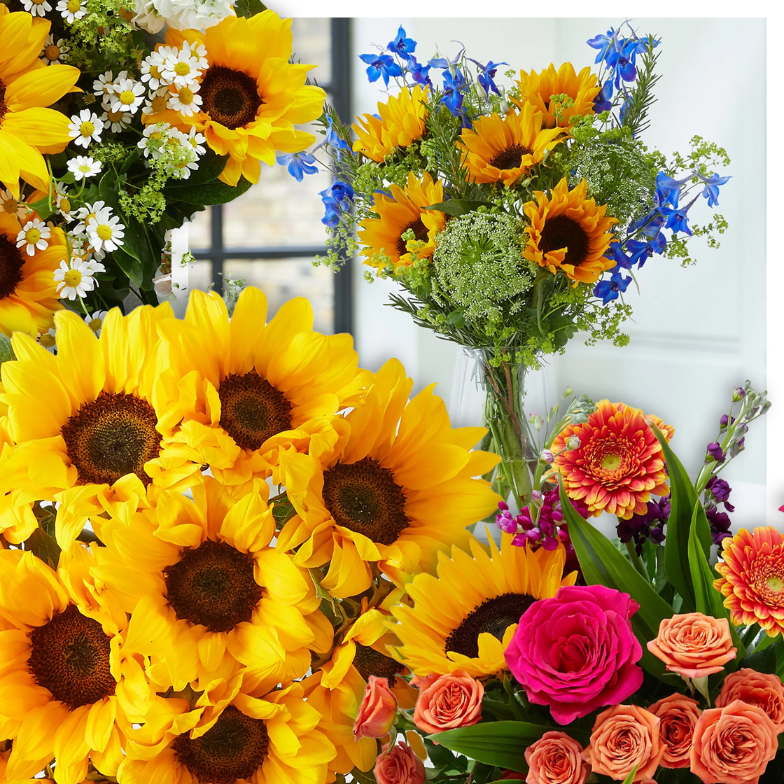 It’s Sunflower Season: Why We Love Summer’s Happiest Flower