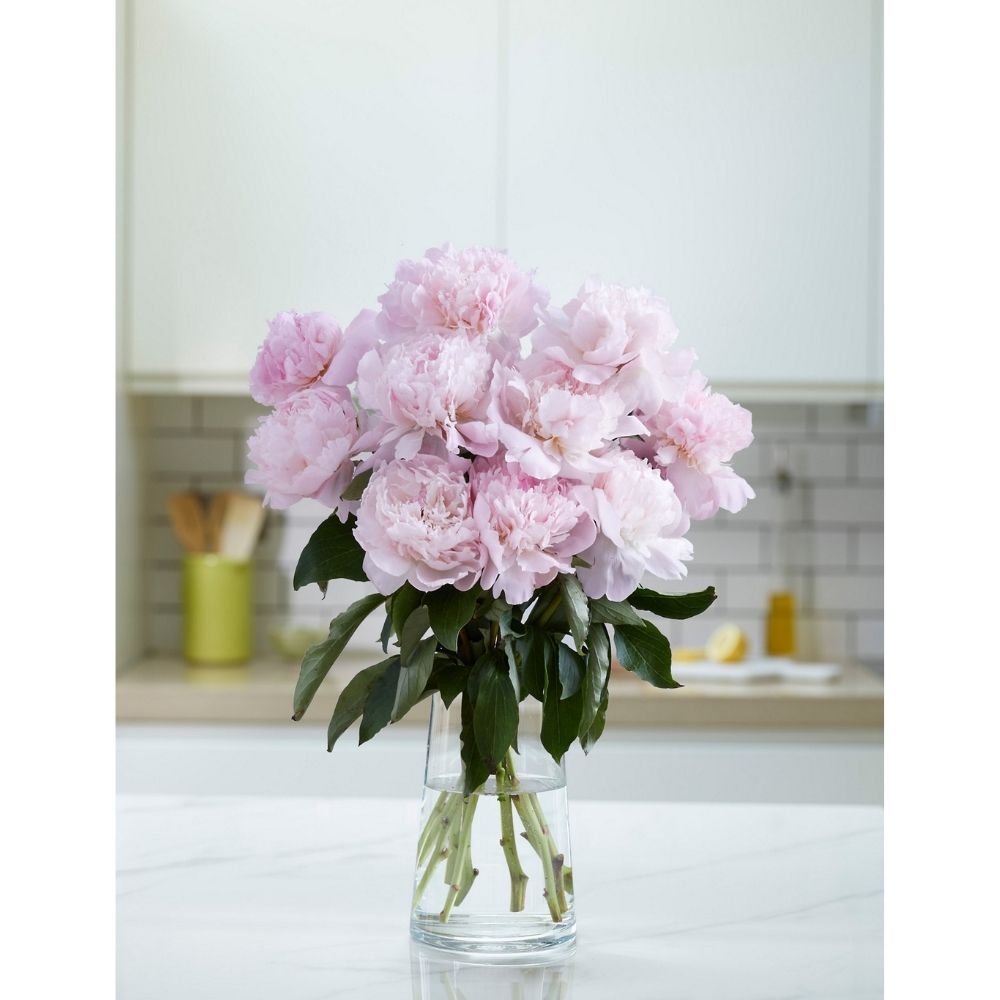 British 10 Stem Peony Bouquet