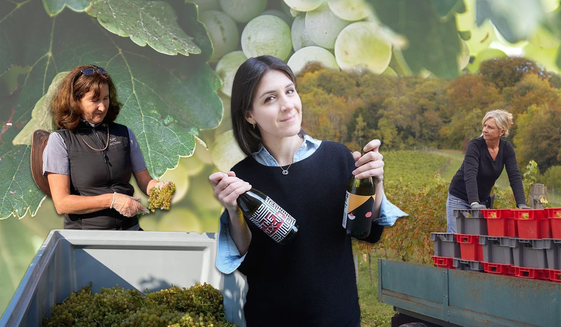 Women In Wine Meet 6 Trailblazing UK Female Winegrowers And Sommeliers