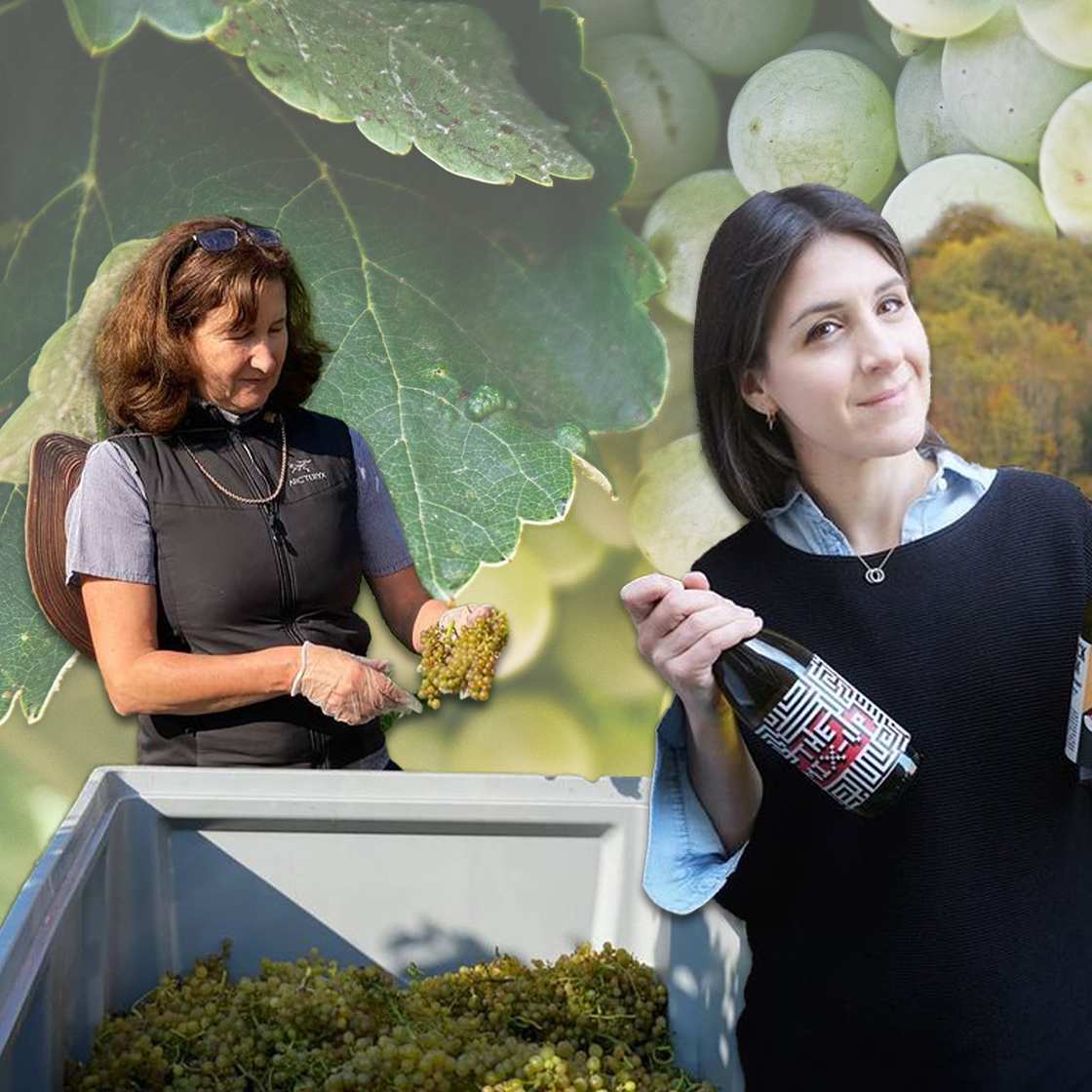 Women In Wine: Meet 6 Trailblazing UK Female Winegrowers And Sommeliers