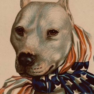 Contact Bert Krak - Agent, Manager and Publicist Details