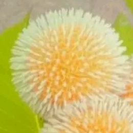 Contact xxxxxxxx - Creator and Influencer