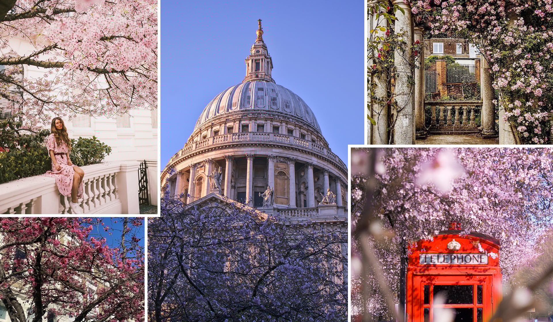Cherry Blossom In London Where to Soak It Up