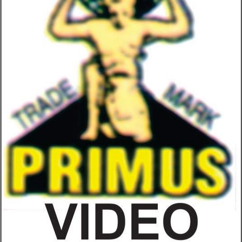 Contact Primus HD Cassette - Creator and Influencer