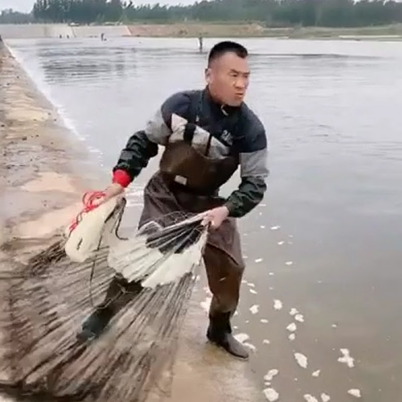 Contact Fishing Best Fish Creator and Influencer