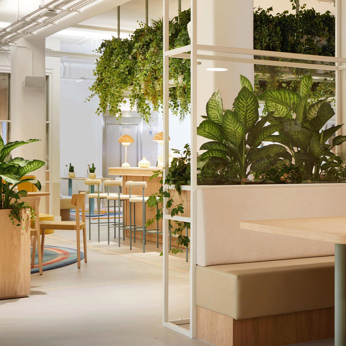 Building A Business? Here’s How To Find Your Dream Office Space
