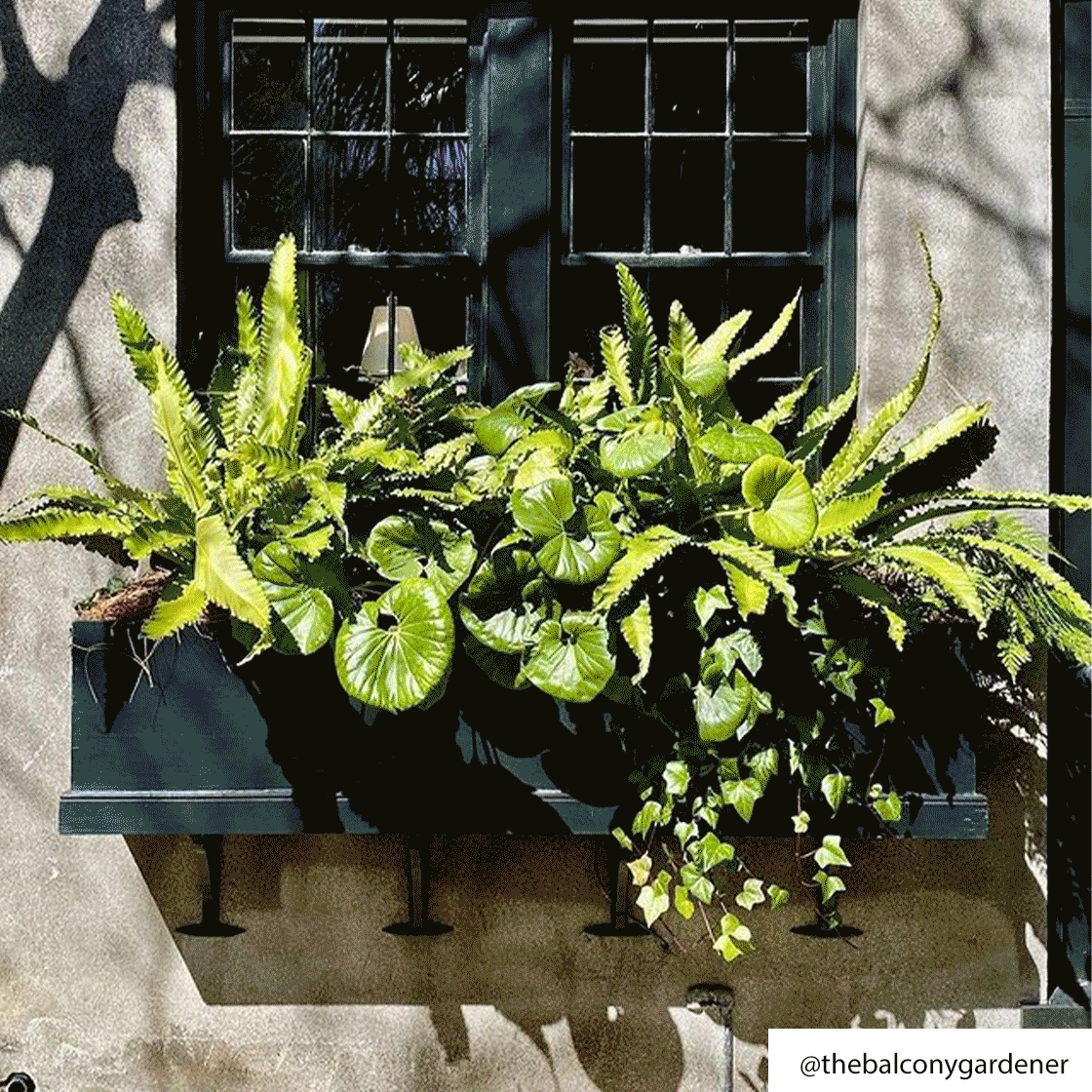 From Gardeners To Florists: 9 Experts To Follow To Inspire Your Garden Makeover