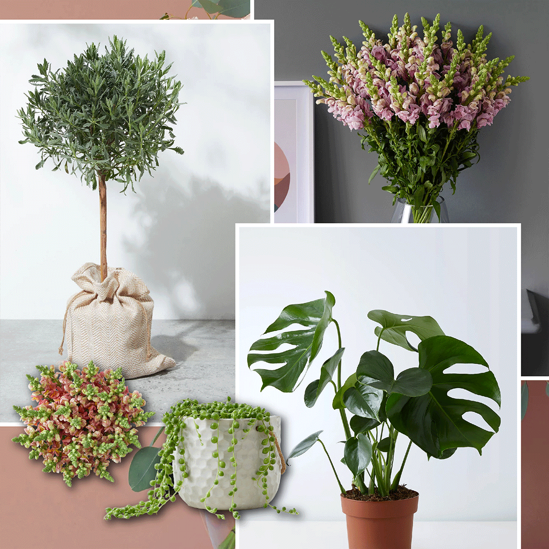 36 Flowers & Plants To Fill Your Home With This Autumn