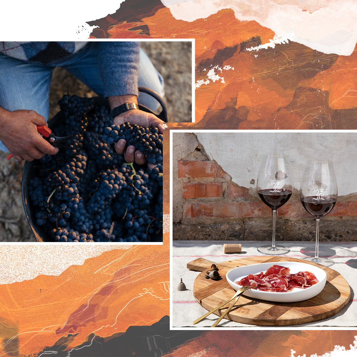 Celebrate The Changing Season With Our Favourite Autumnal Wines From Rioja