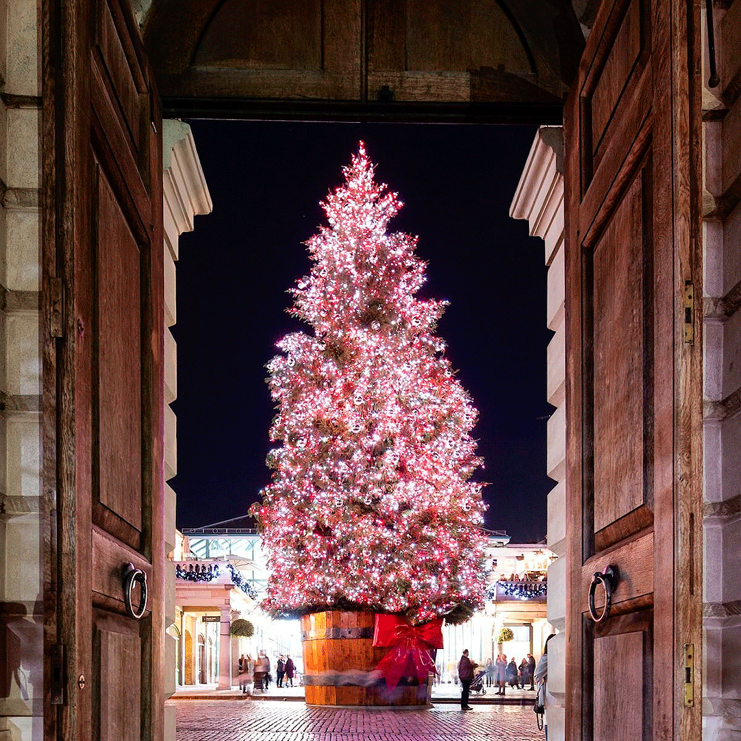 11 Sensational Christmas Light Displays To See This Year