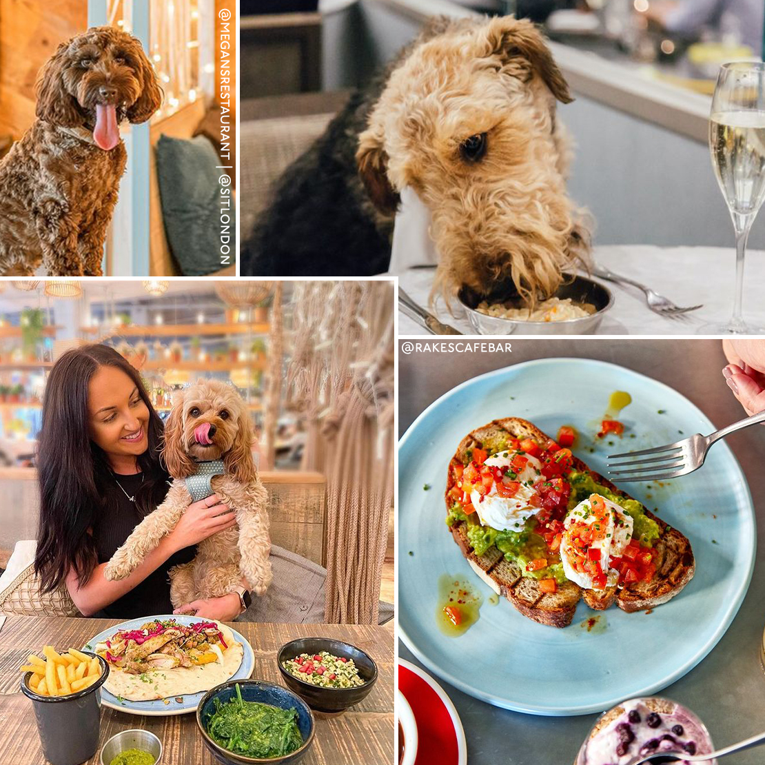 London’s Best Dog-Friendly Brunch Spots