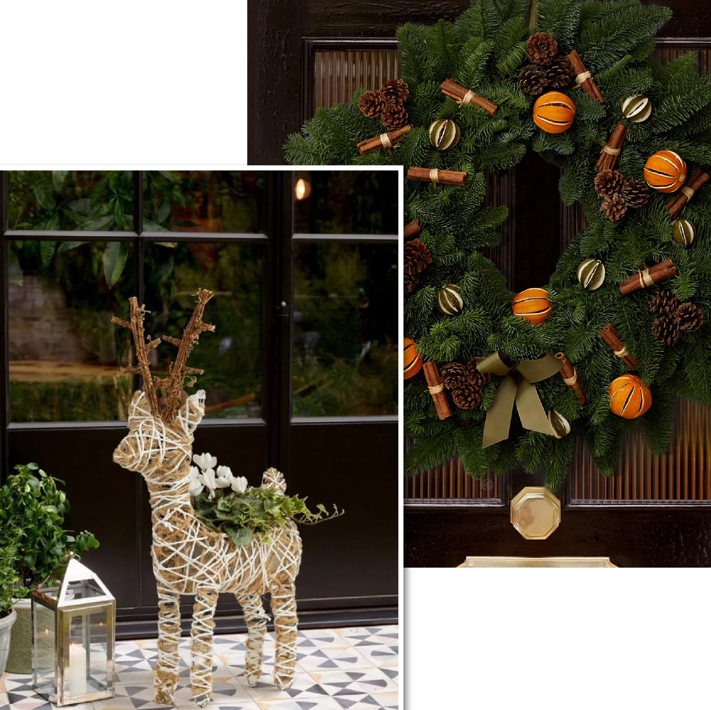 24 Affordable Christmas Flowers To Bring A Festive Touch To Your Home