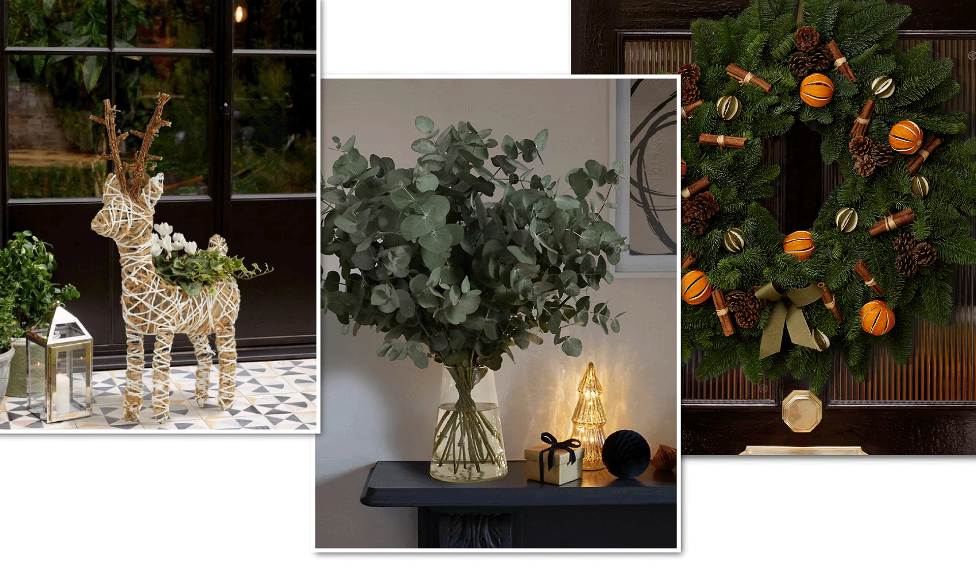 24 Affordable Christmas Flowers To Bring A Festive Touch To Your Home