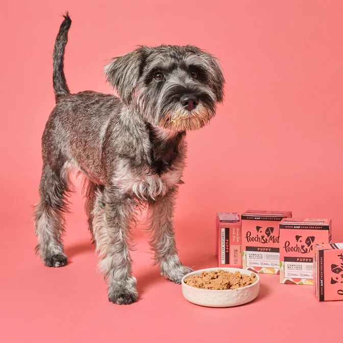 Win A Year’s Supply Of Premium Dog Food And Treats Worth £660!