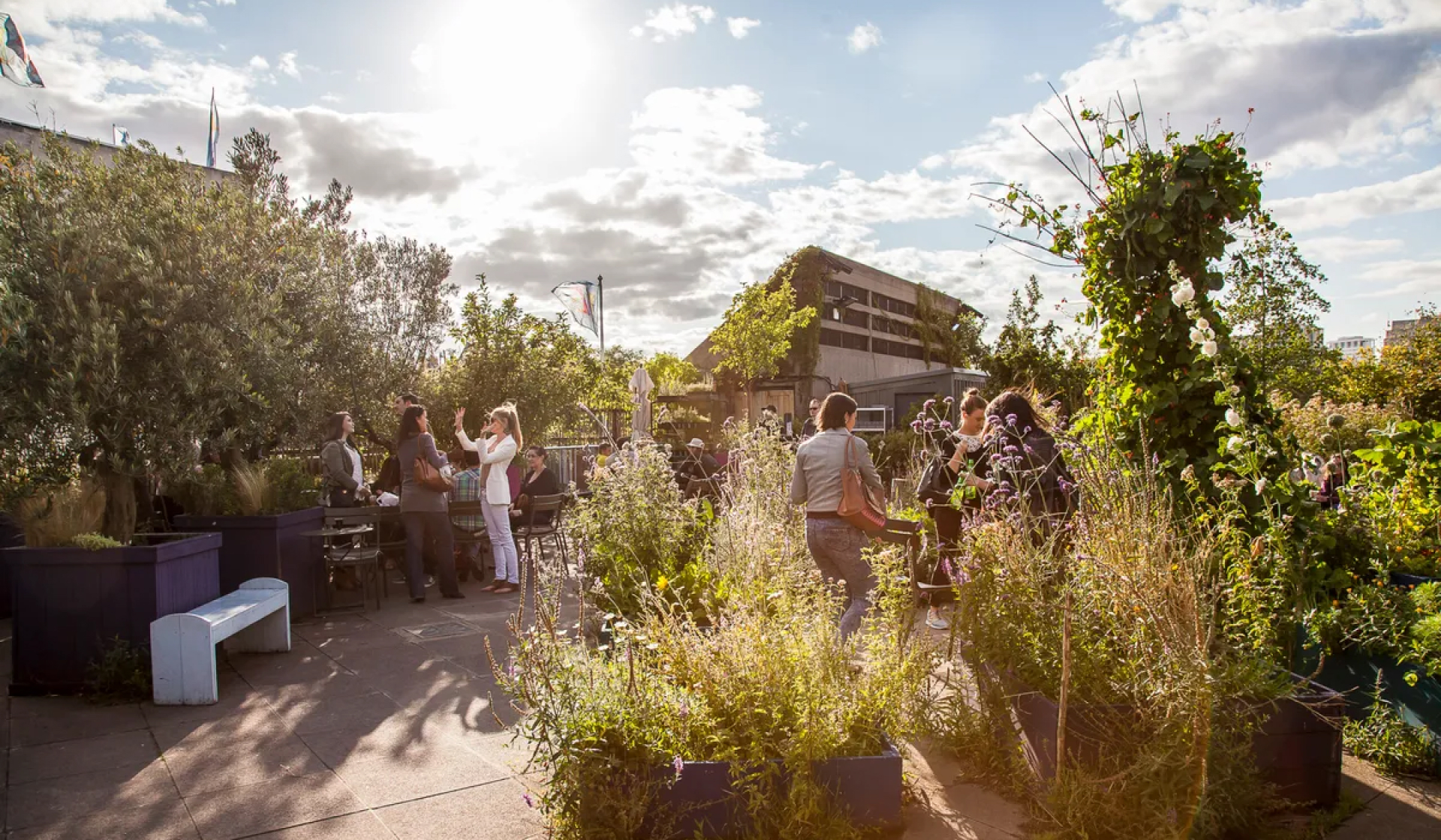 Rooftop Gardens London 9 Of The Best To Visit