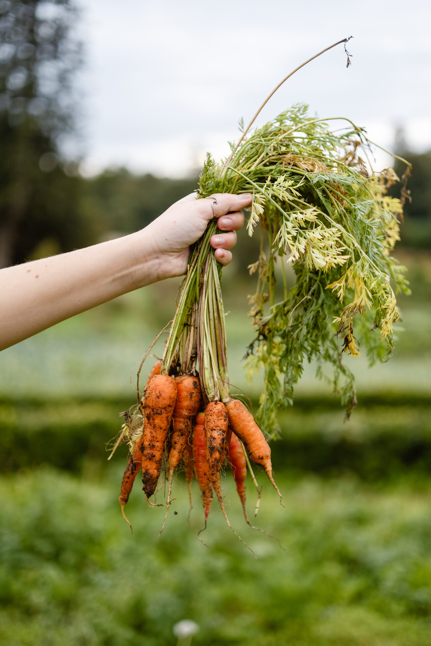 The Best Farm To Table Restaurants In The UK
