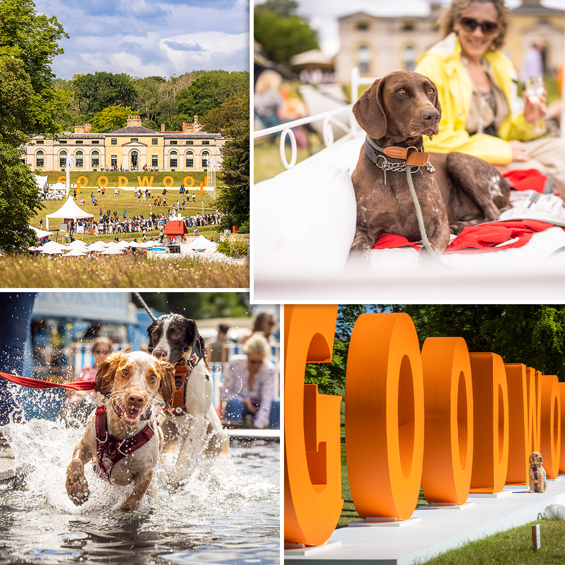 The Family-Friendly Event Every Dog Lover Needs To Book
