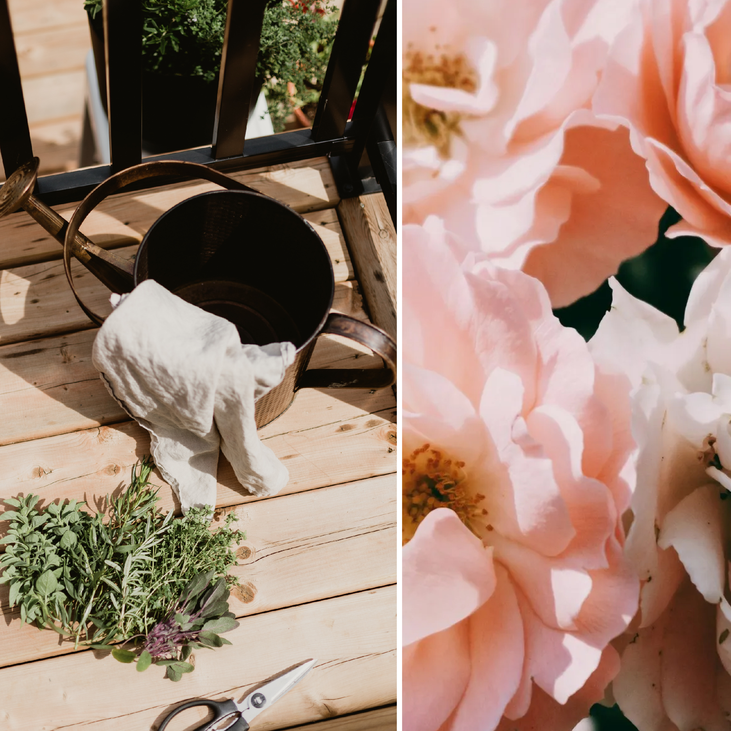 10 Gardening Tips Whether You’ve A Sprawling Pile or A Modest Windowsill