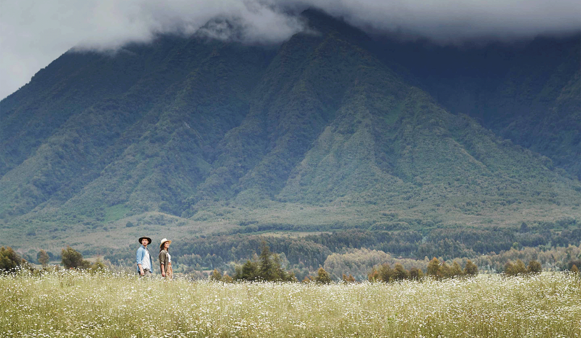 From Roaming Gorillas To Elephants Bathing: The World’s Most Incredible Safari Destinations