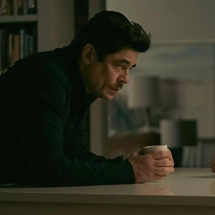 Benicio Del Toro & Alicia Silverstone Lead New Thriller, Reptile