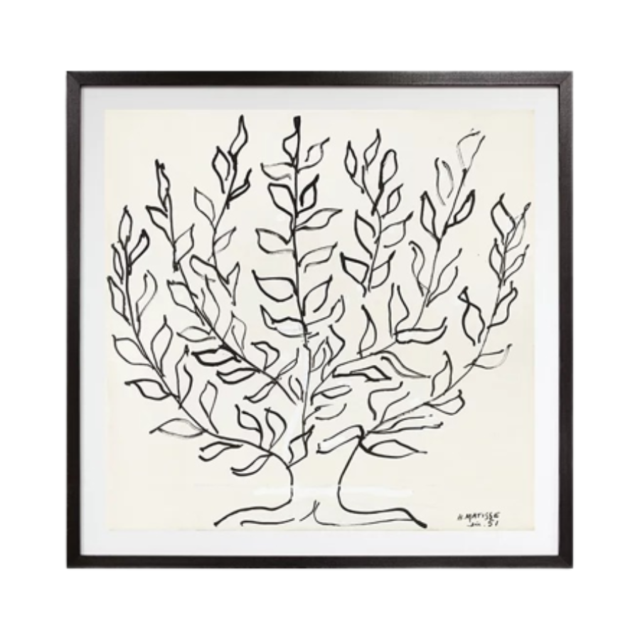 John Lewis – Matisse, The Plain Tree 1951 Framed Print & Mount