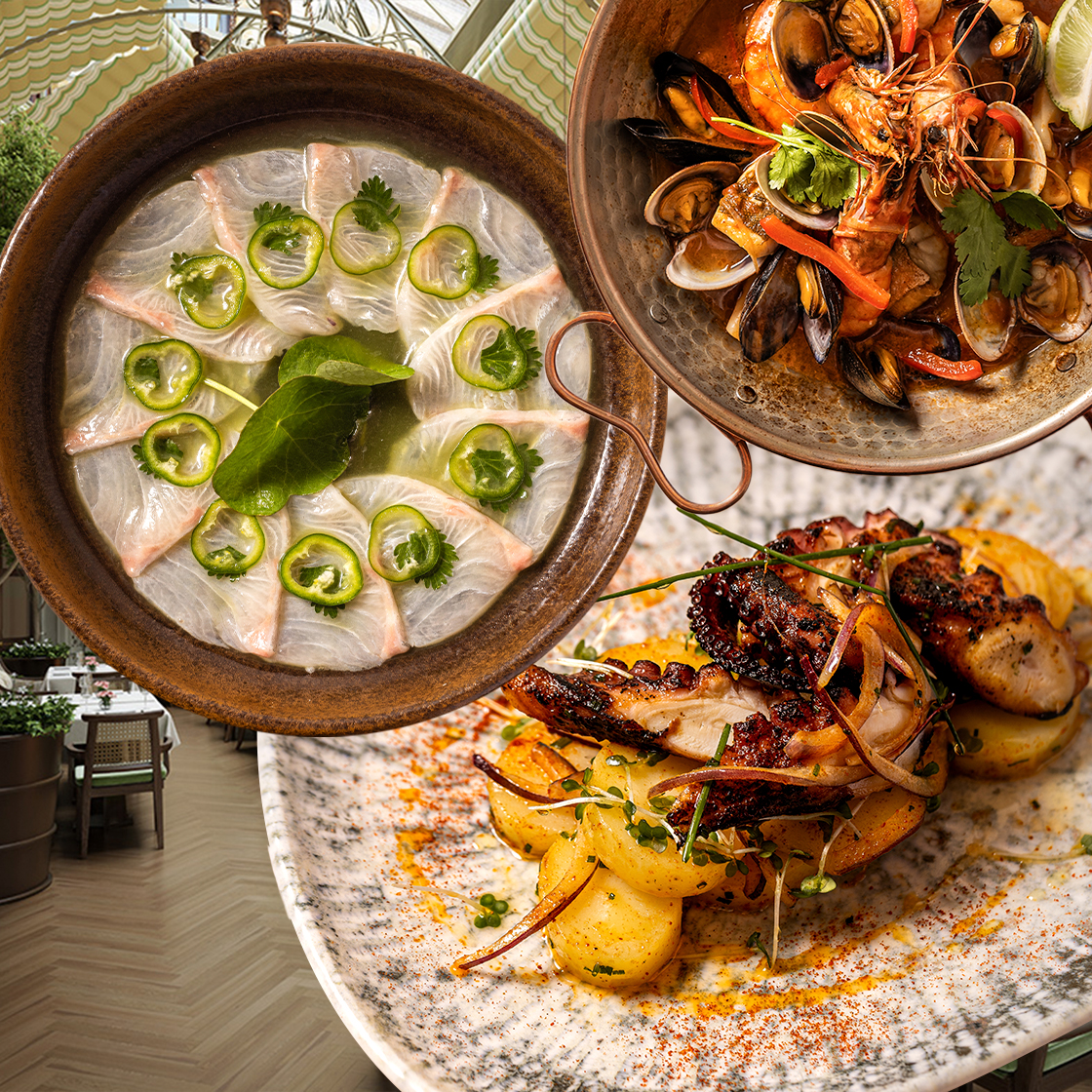 11 New Openings To Bookmark For September