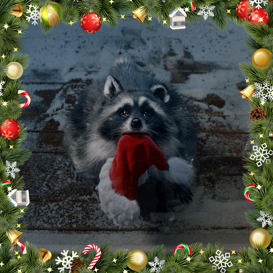 The Best Christmas Ads Of All Time