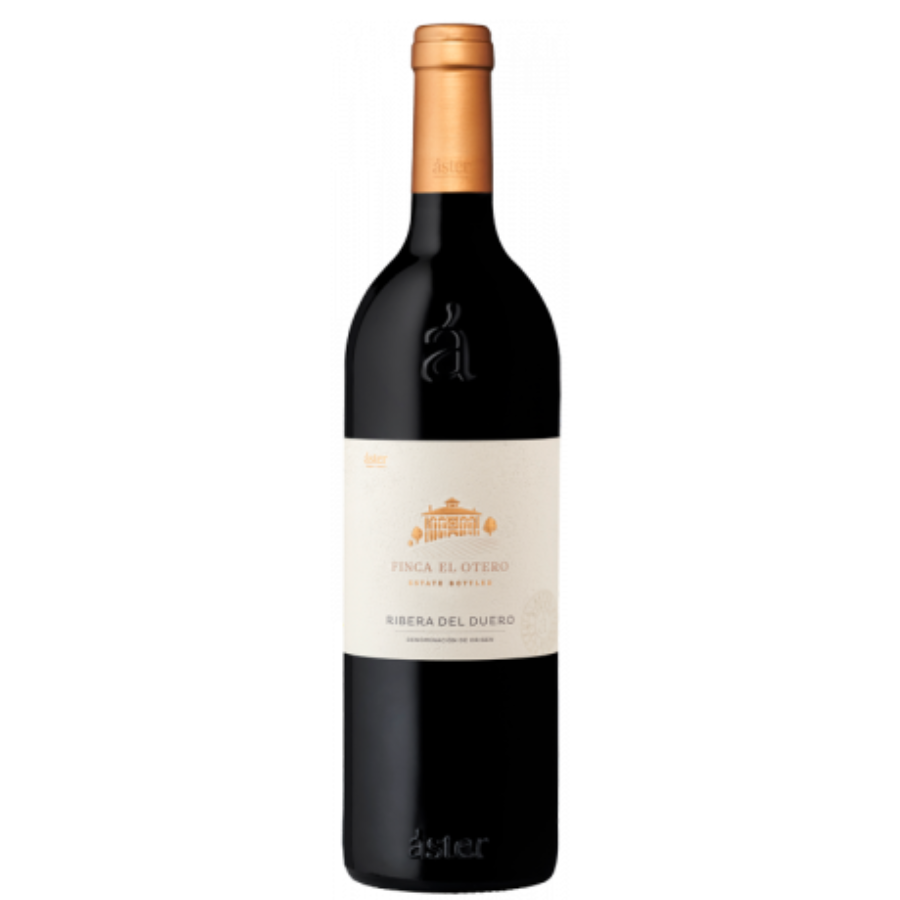 Finca el Otero 2019