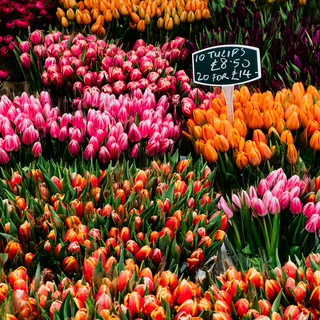 The Best Flower Markets In London
