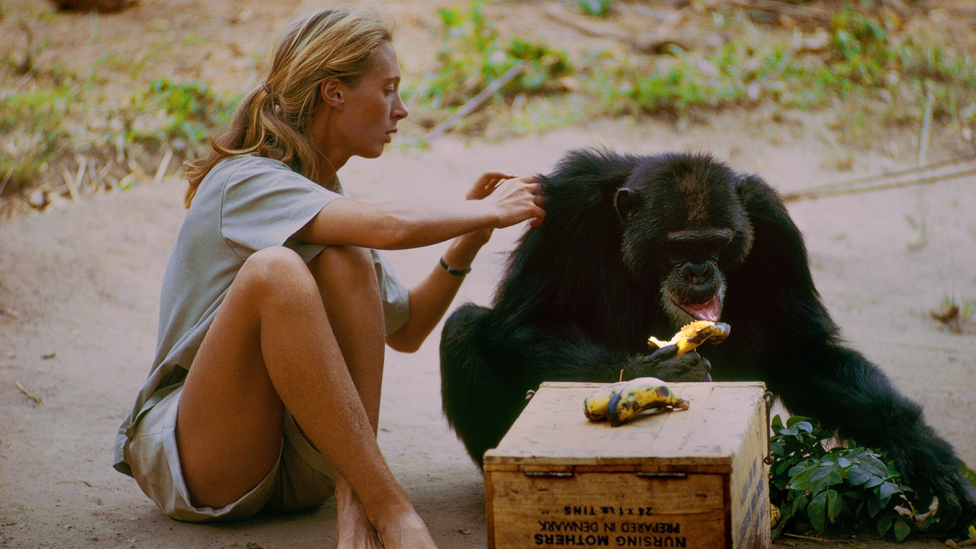 13 Of The Best Climate Change Documentaries To Watch This Earth Day