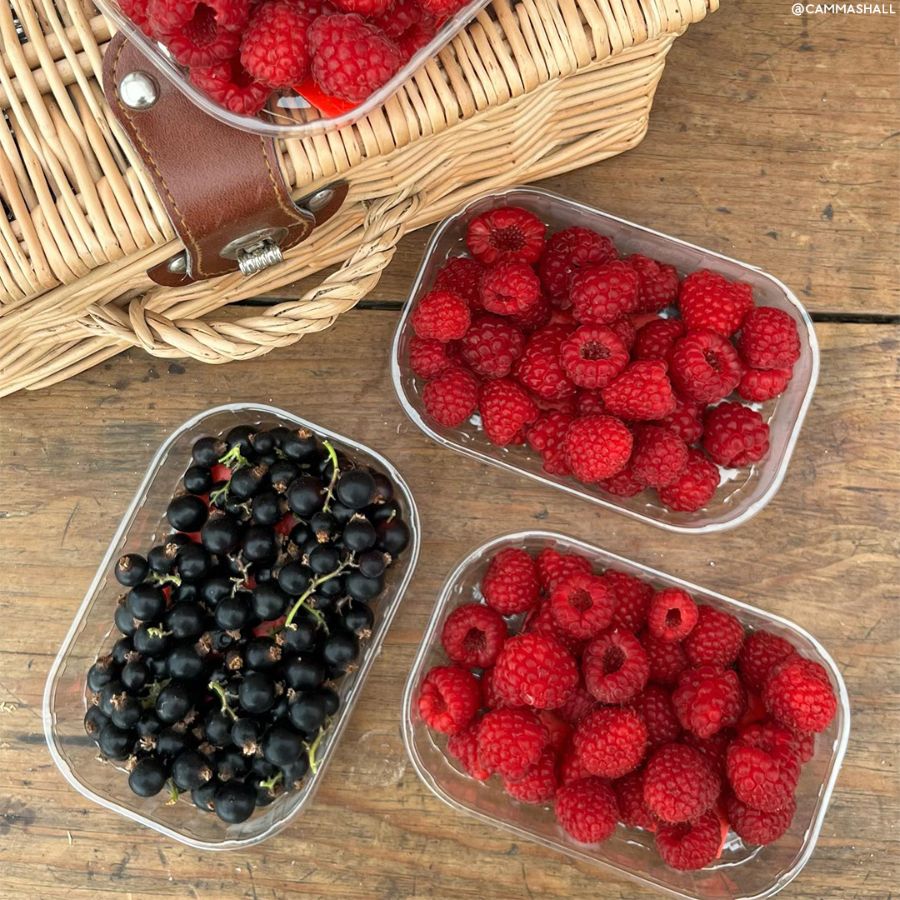 The 8 Best Pick-Your-Own Farms Near London