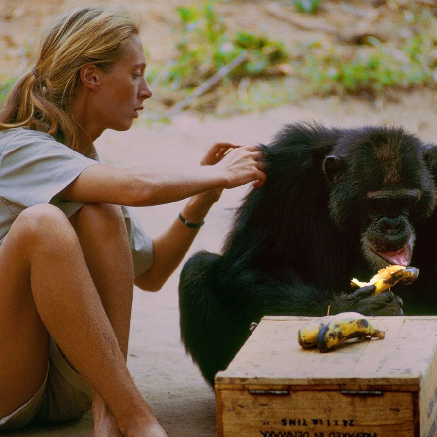13 Of The Best Climate Change Documentaries To Watch This Earth Day