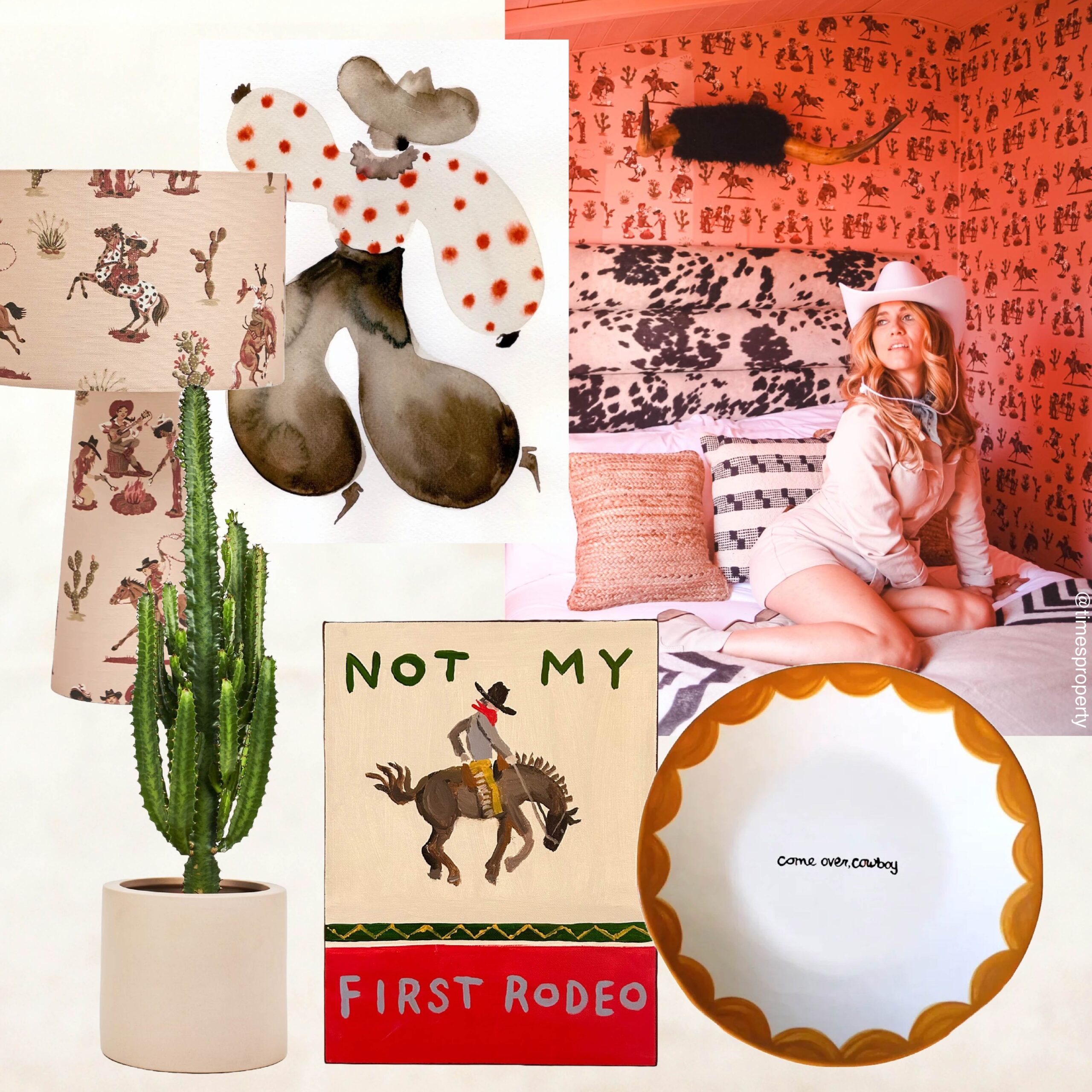 Western Interiors Are Everywhere Right Now