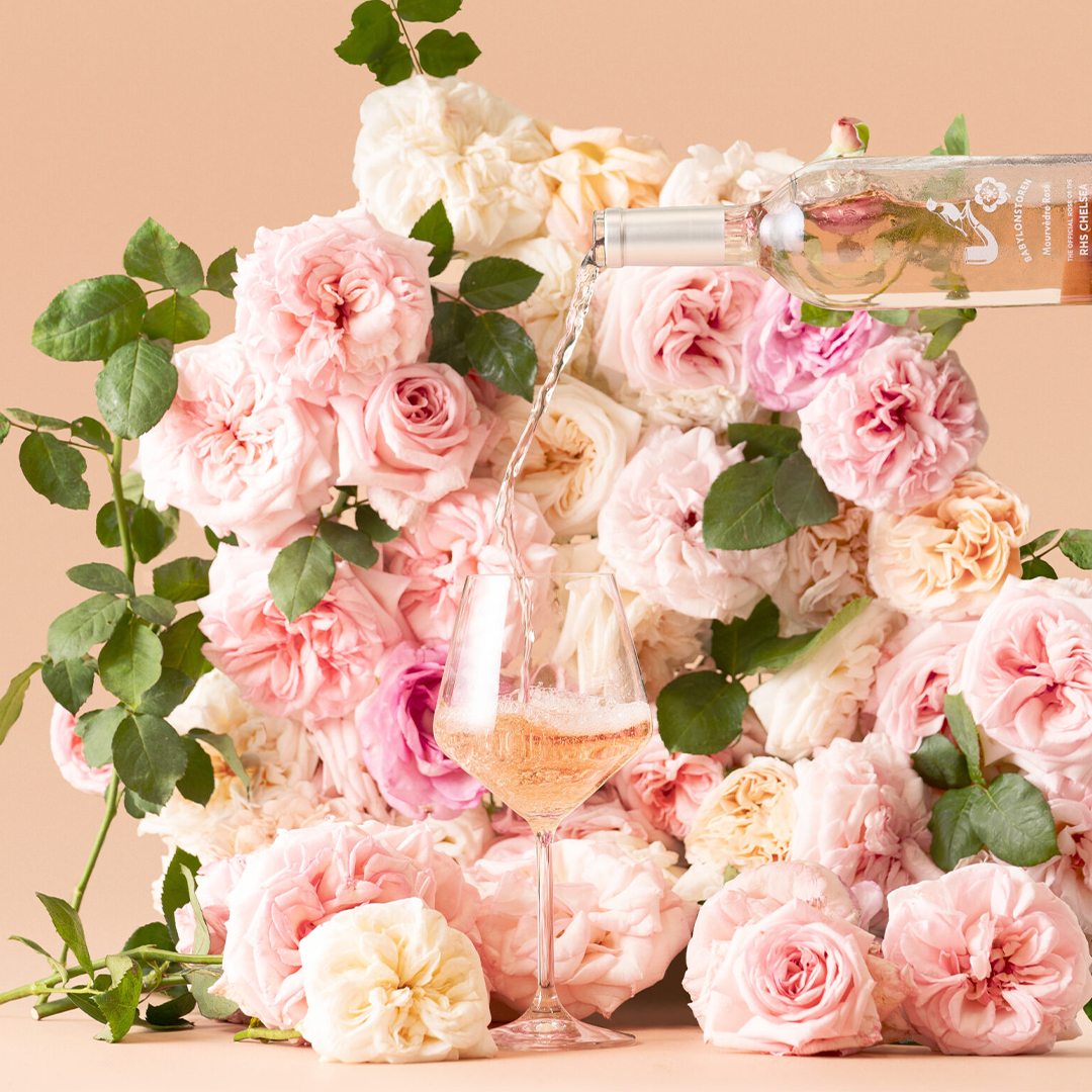 5 Reasons Why This Is The Rosé To Know Right Now