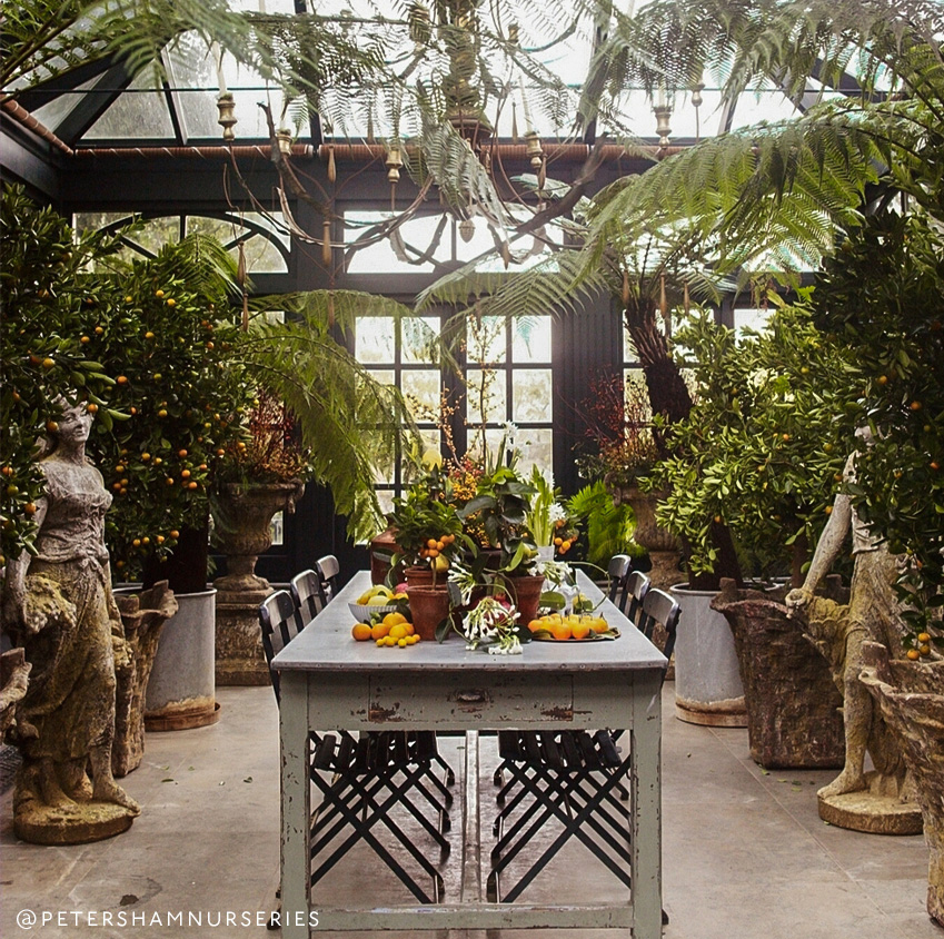 8 Of London’s Best Garden Centres To Visit This Weekend