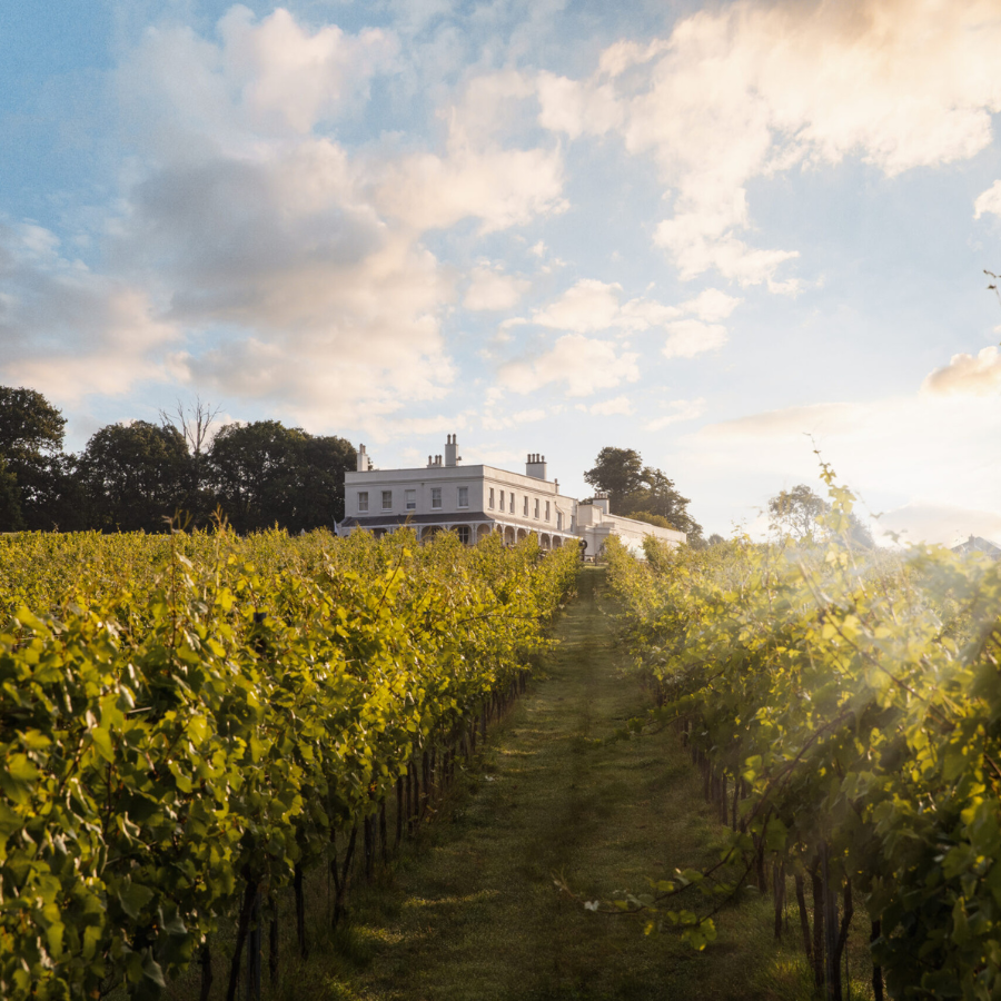 13 Best UK Vineyards To Visit This Summer