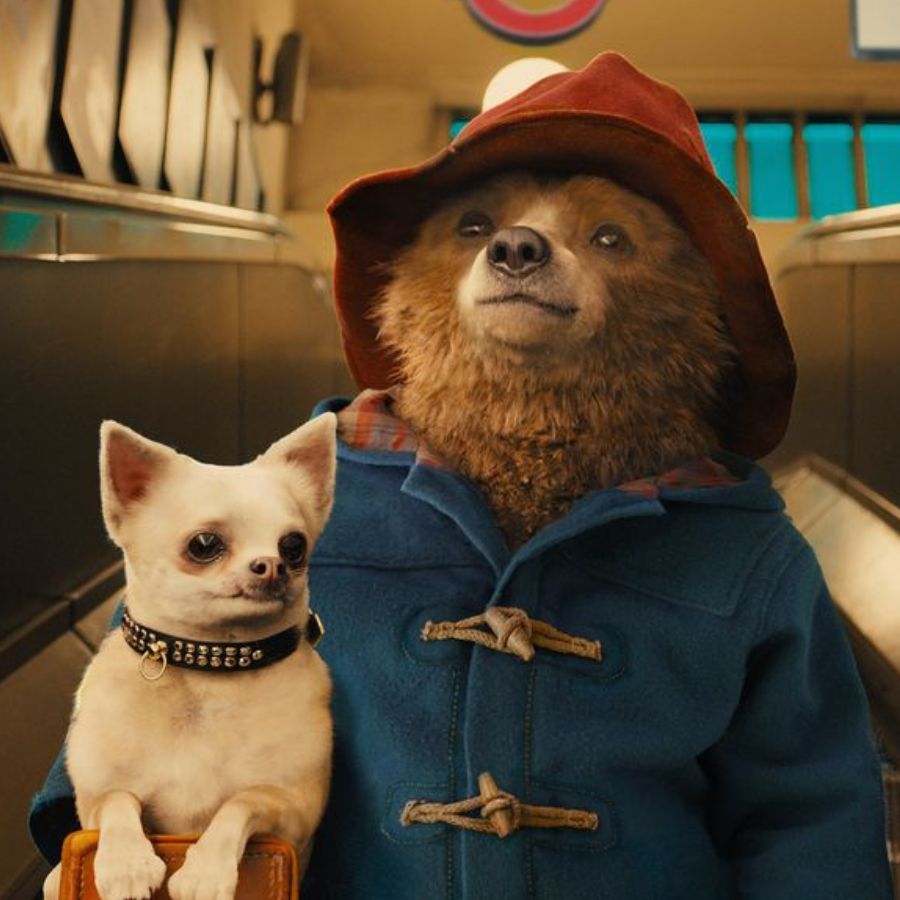 Paddington 3: Everything We Know About The New Film