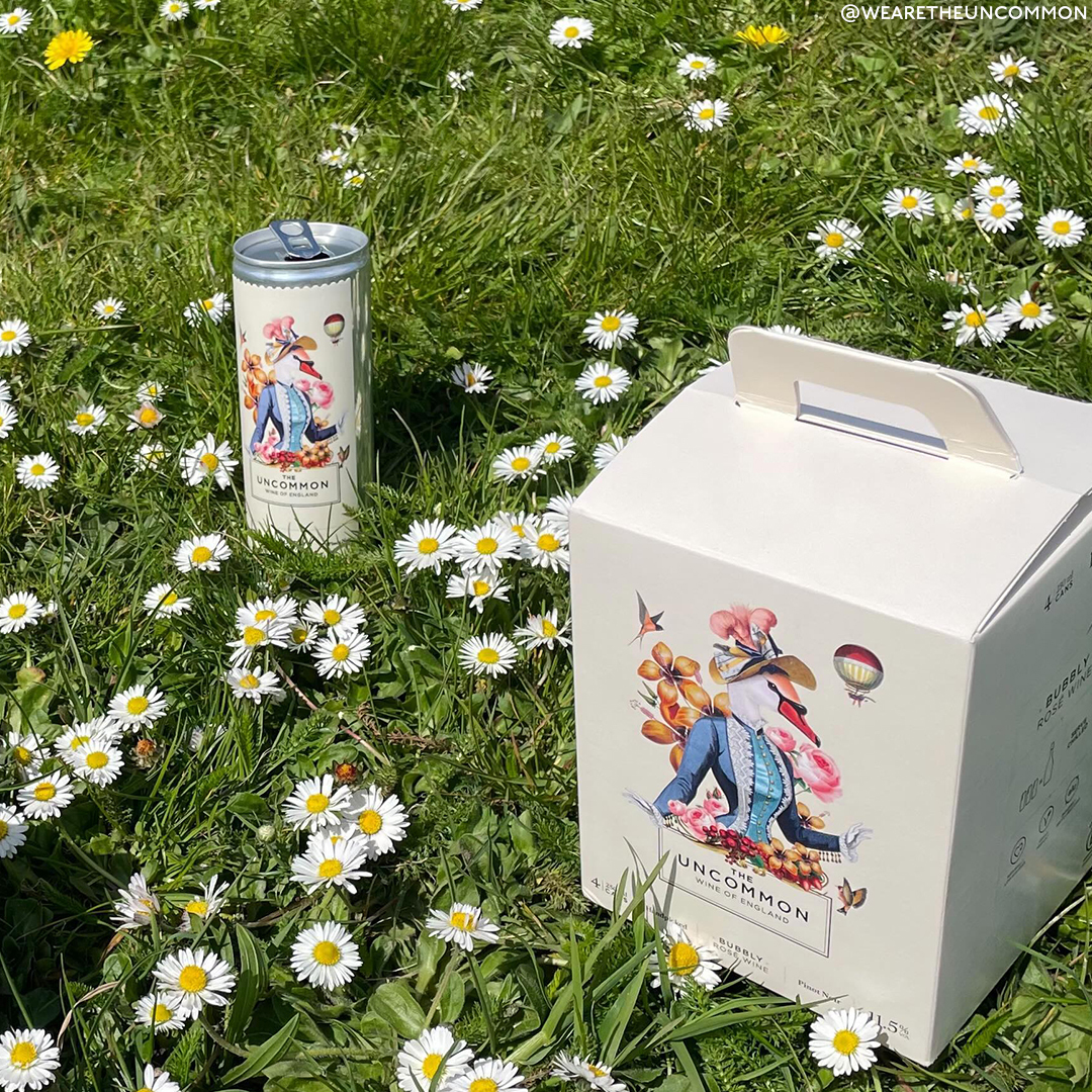 The Best Canned Wines For A Boozy Picnic