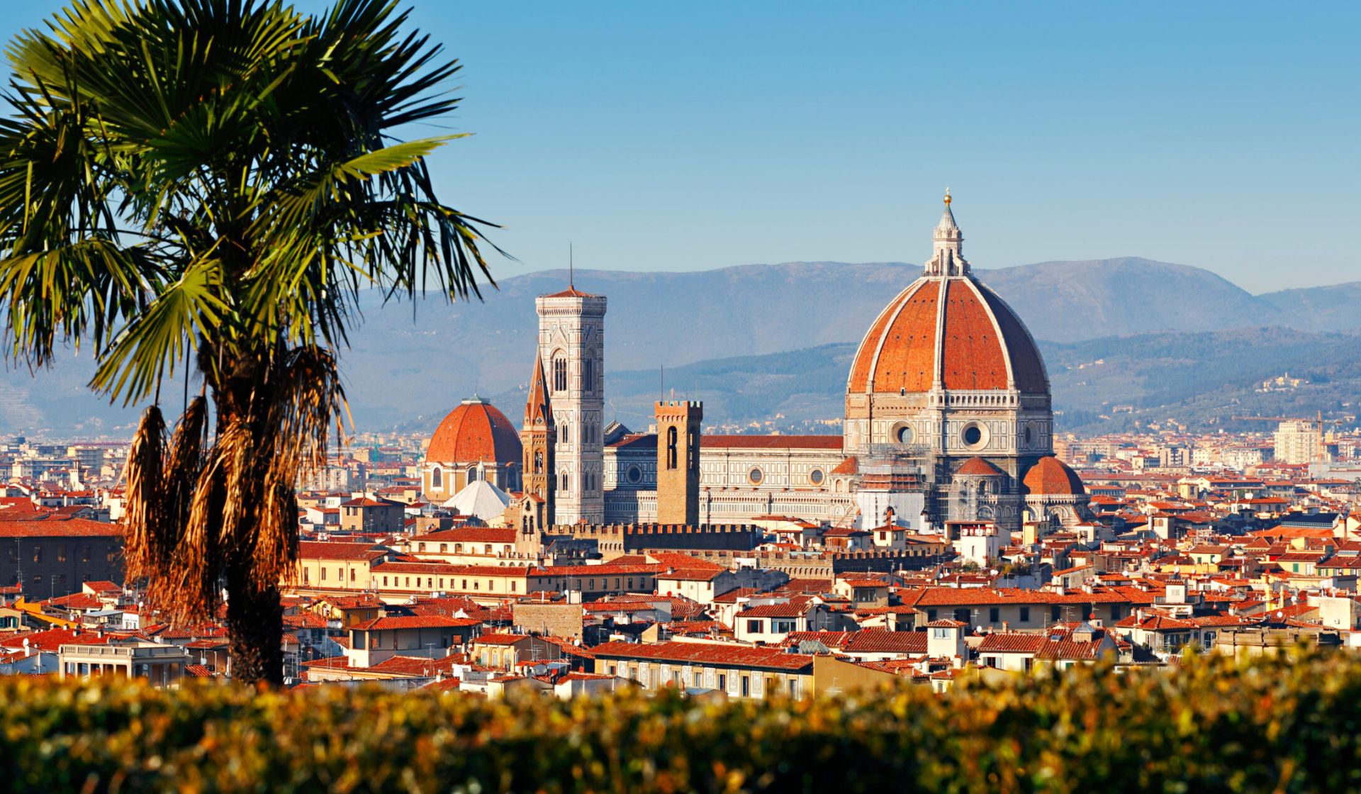 The Ultimate Travel Guide to Florence