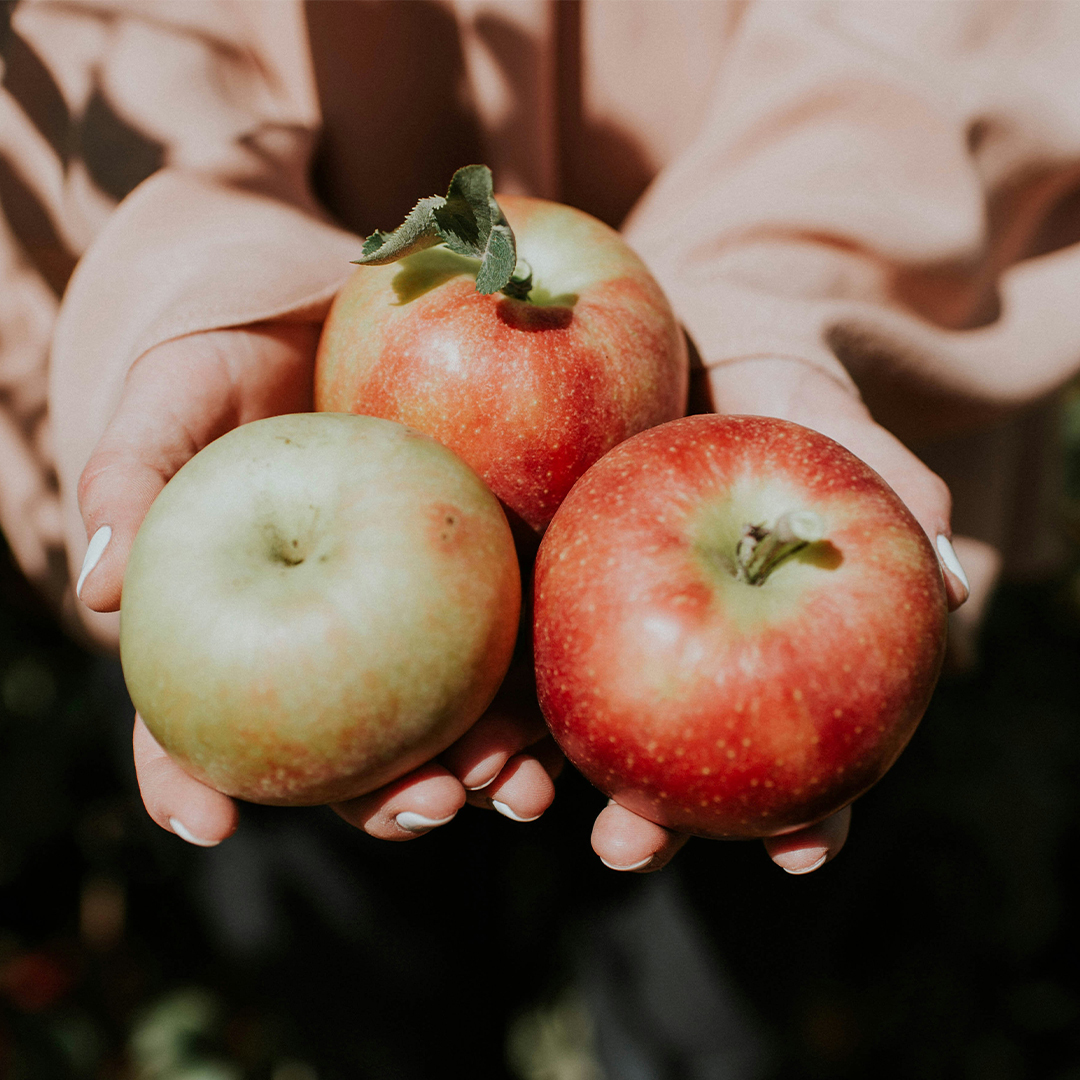 6 Must-Visit Apple Orchards Near London