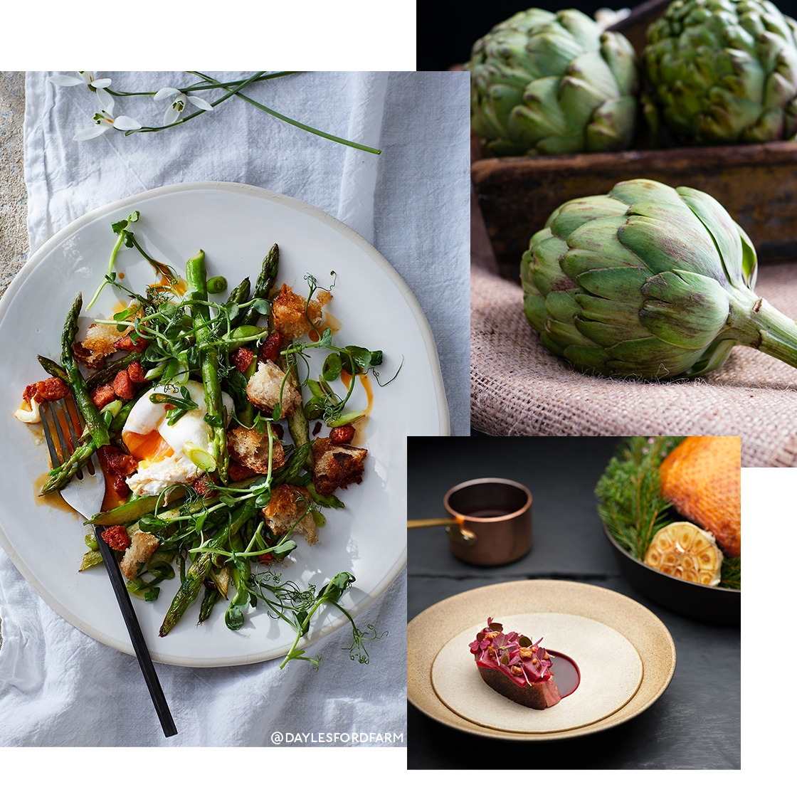 Sustainable Eats: The Green Michelin Stars Everyone Should Try