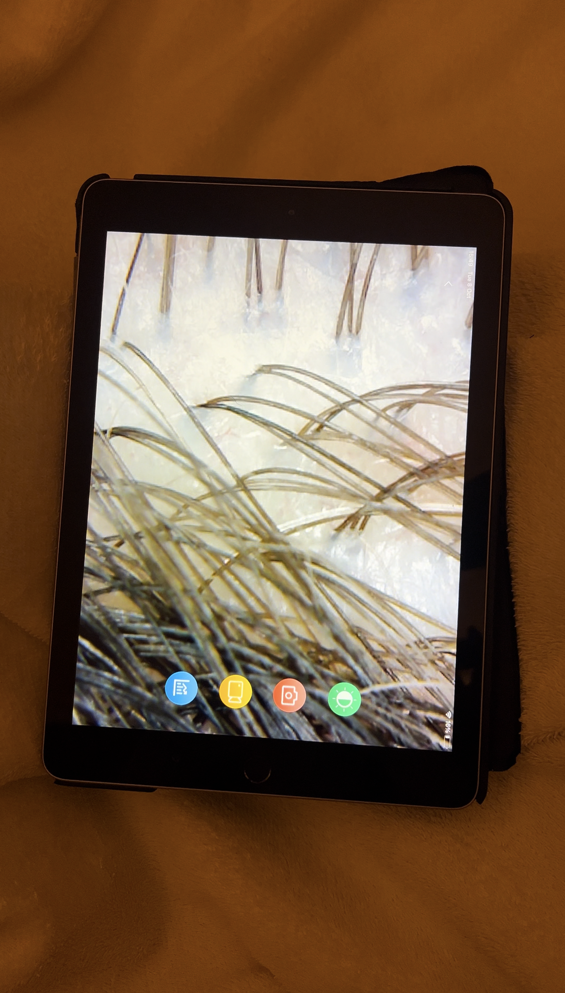 I Tried London's Viral 17Step Head Spa Treatment The Handbook