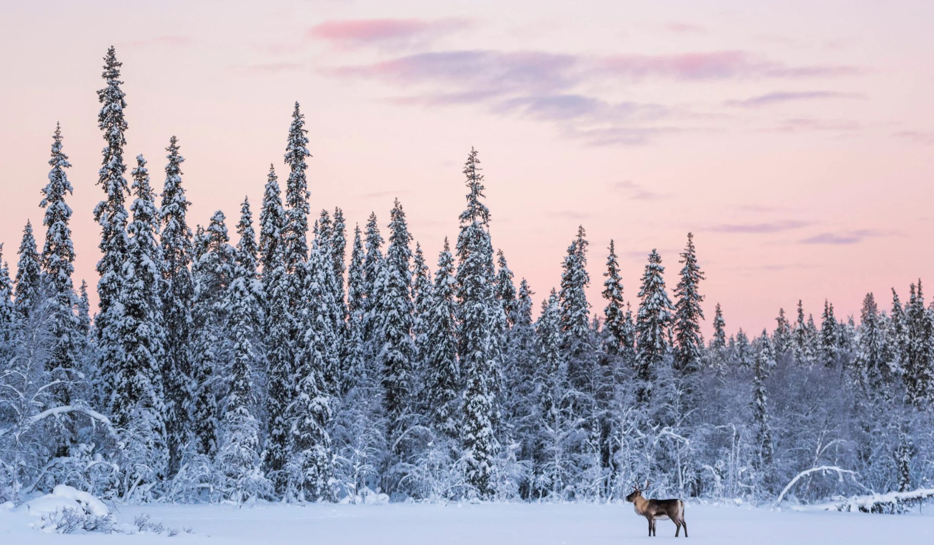 8 Stunning Christmas Holiday Destinations Around The World