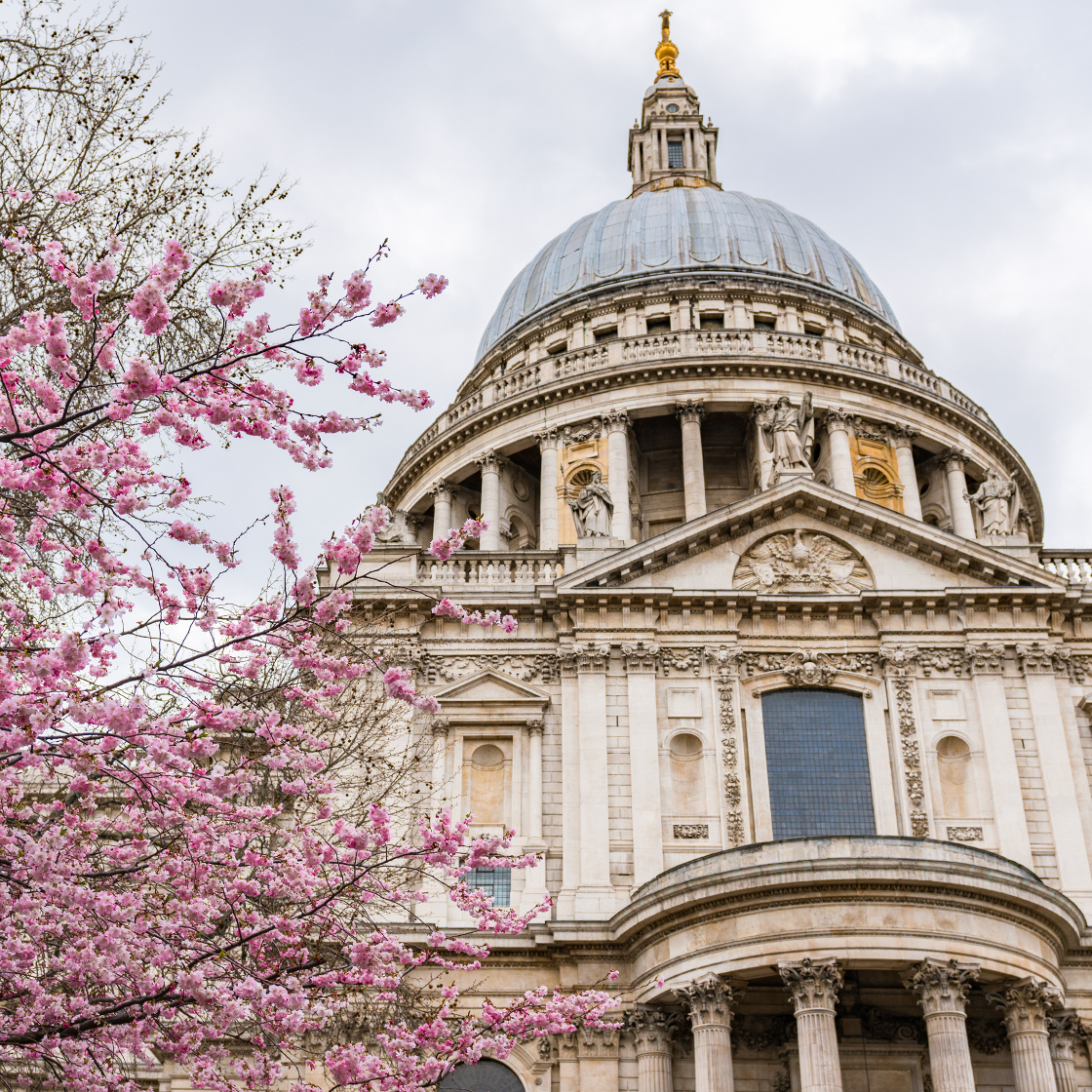 10 Places To See London’s Cherry Blossom Season In Full Bloom