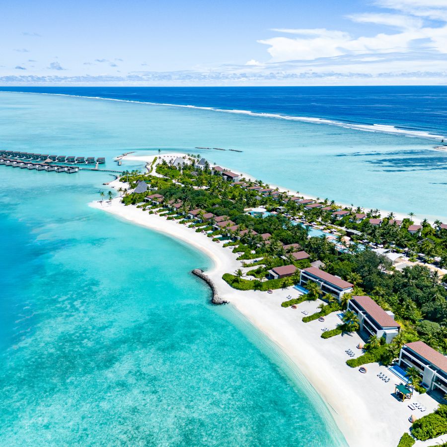 The Most Talked About Celebrity Collaborations Of 2025 The Handbook the-most-talked-about-celebrity-collaborations-of-2025-the-handbook