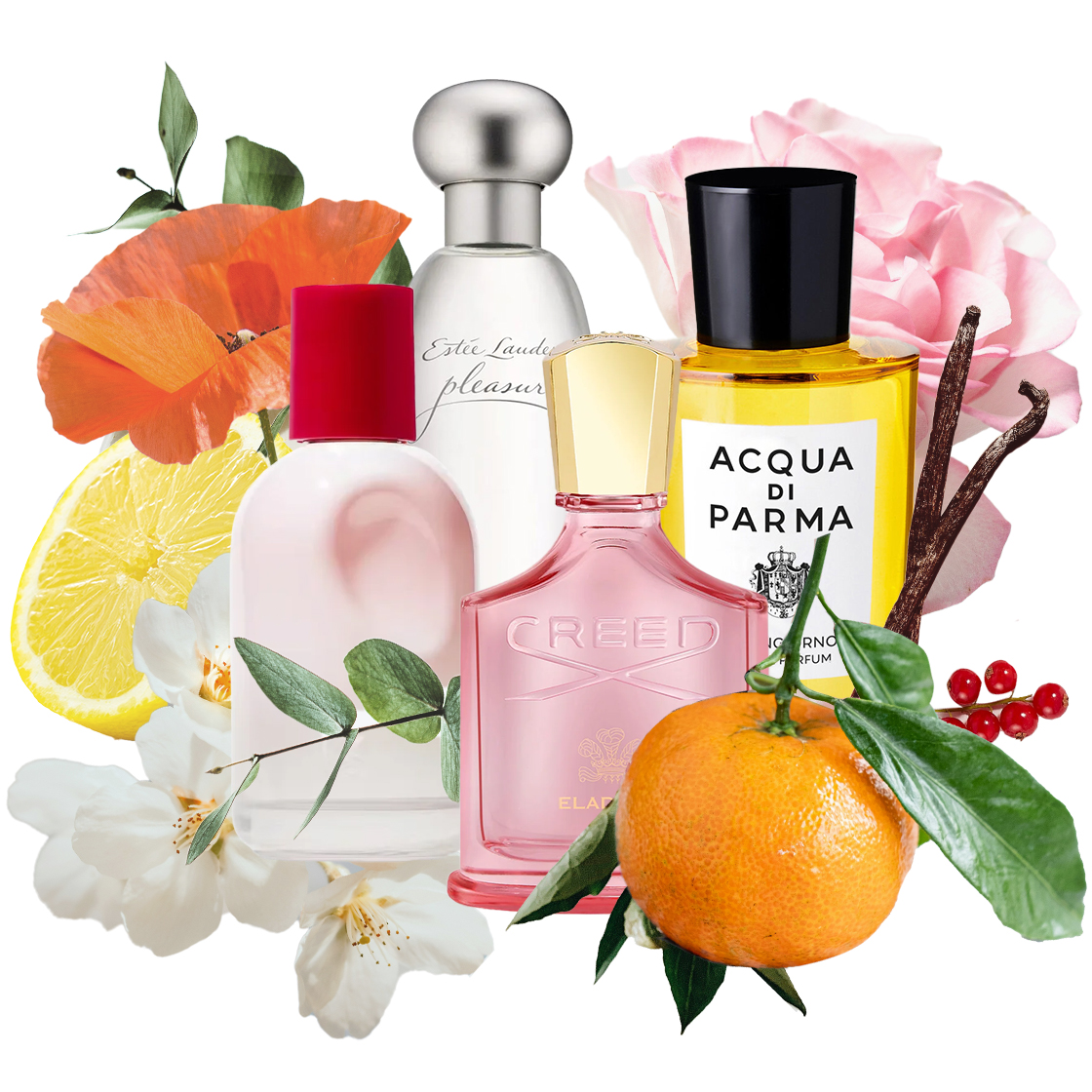 The Best Summer Fragrances, According To Our Team Of Editors
