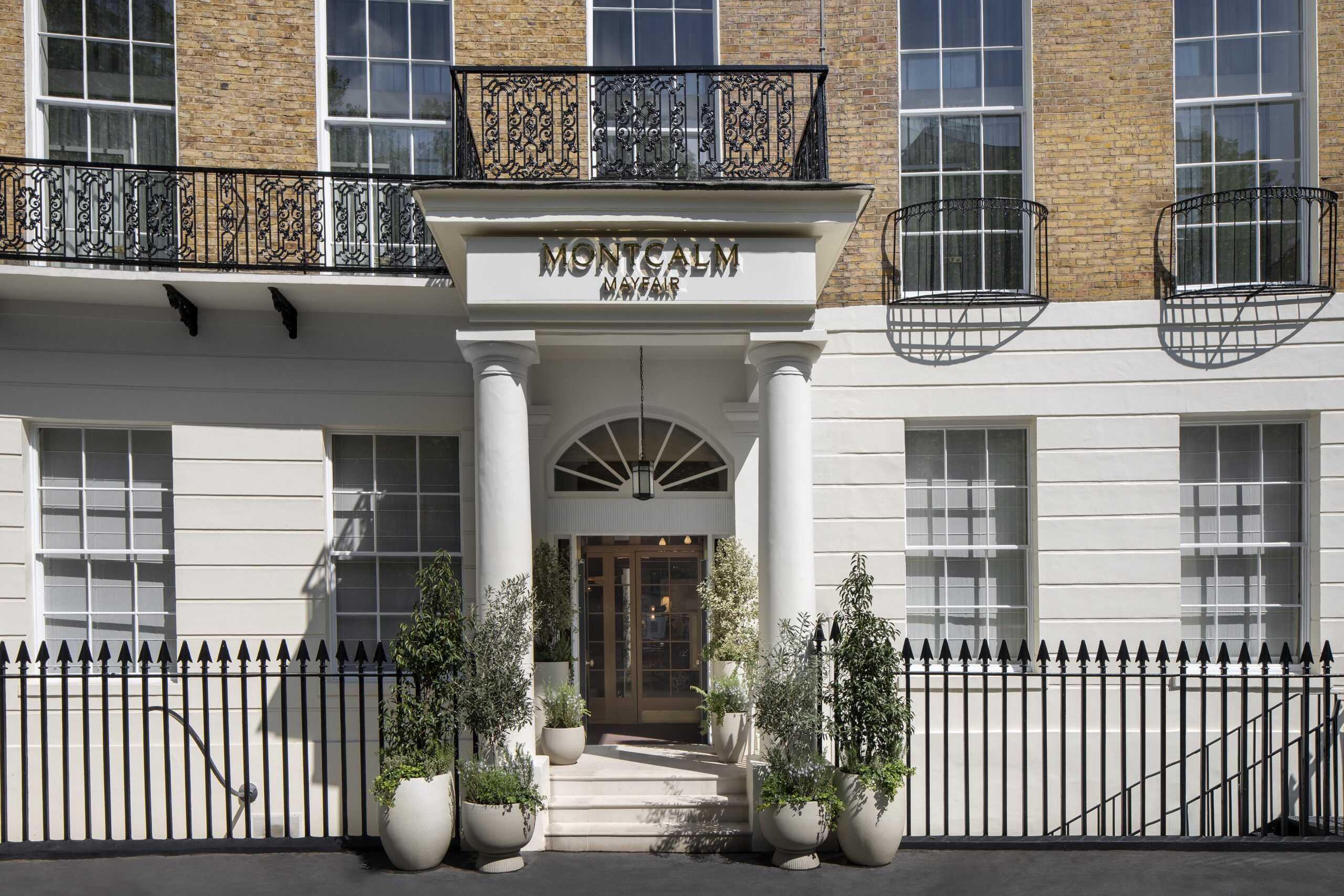 Montcalm Collection