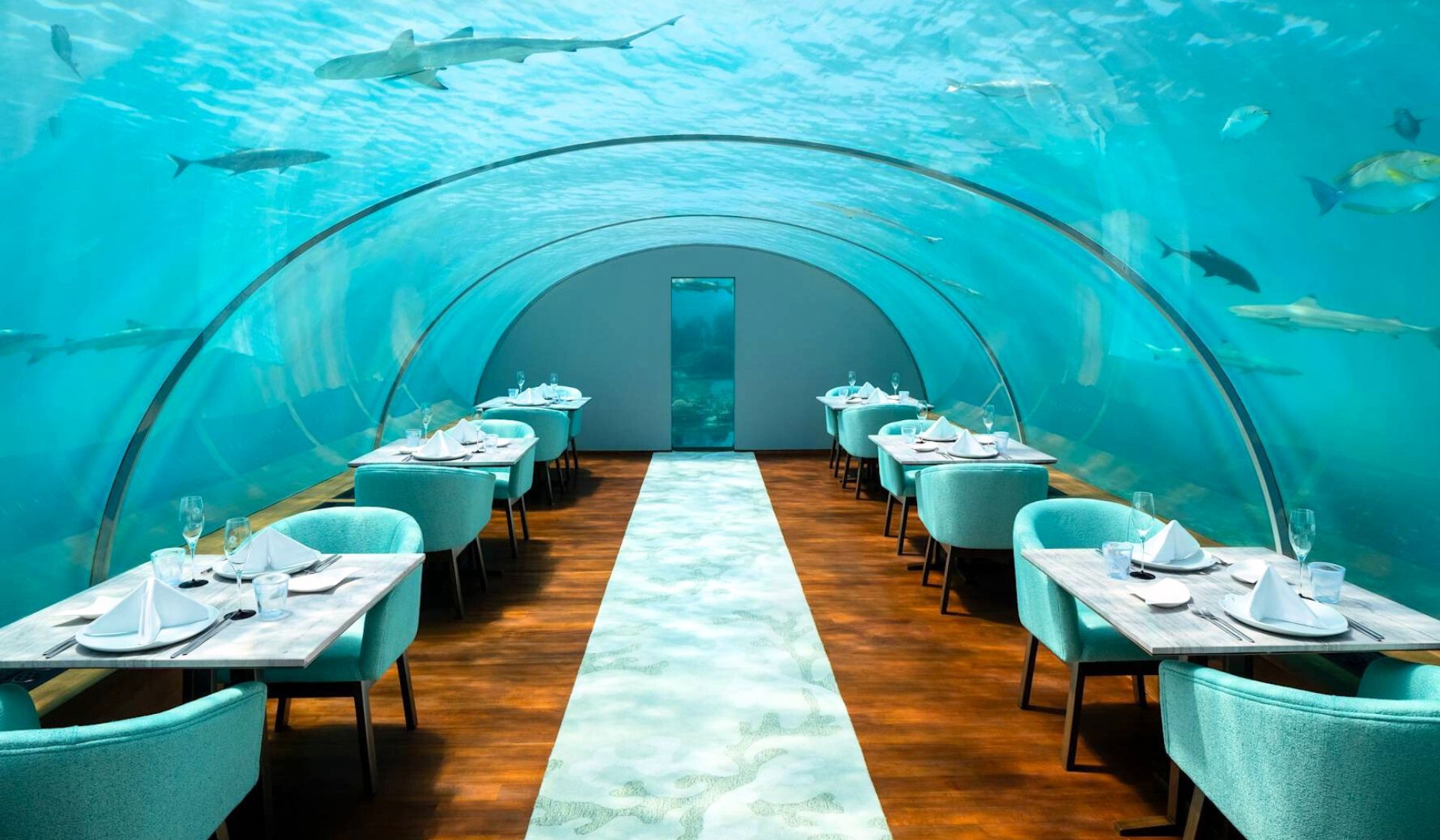 The World’s Best Underwater Restaurants To Tick Off Your Bucket List